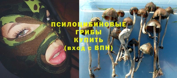 apvp Остров
